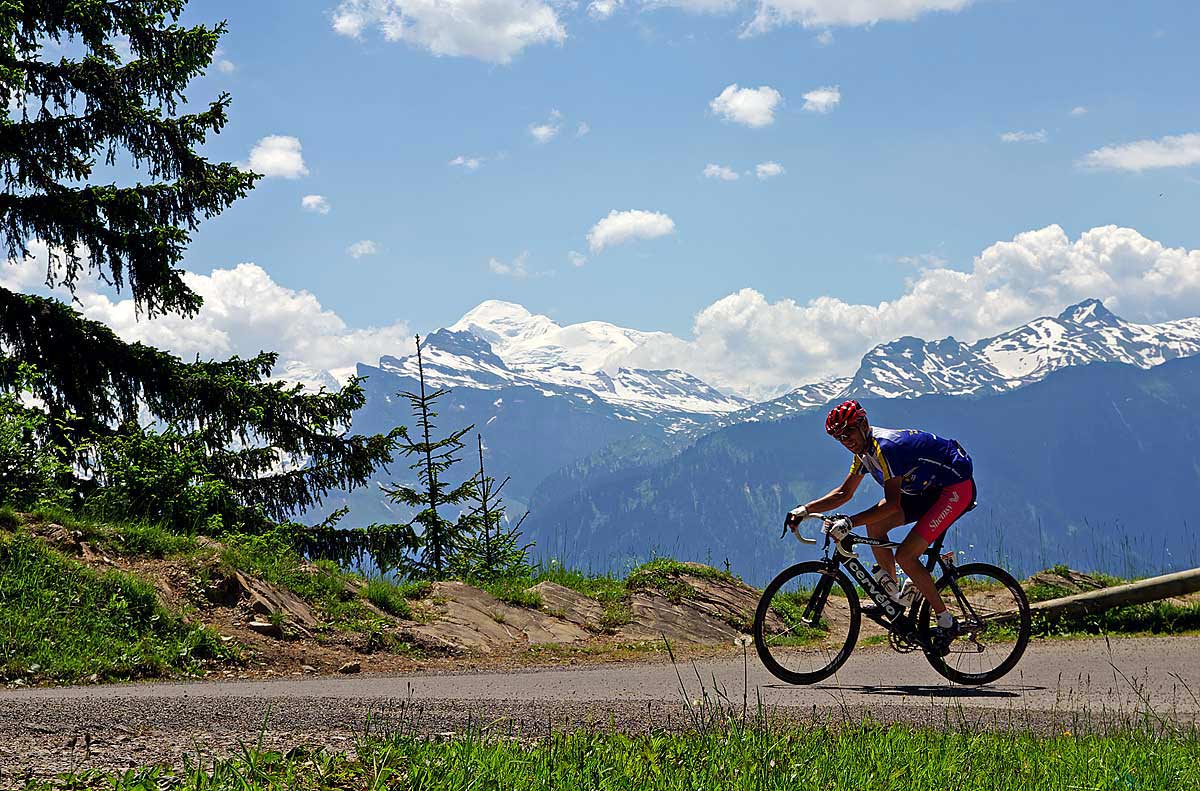 Digital Marketing Survey – French Alps Cycling